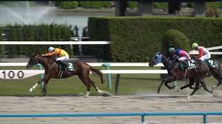 第31回平安ステークス(GⅢ)ミトノオー&松山弘平騎手優勝