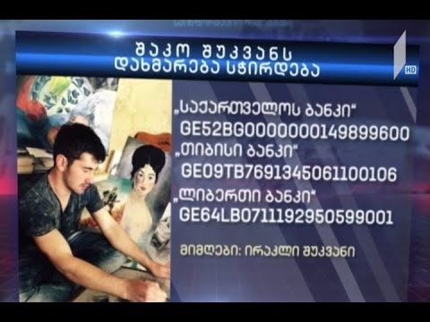 24 წლის მხატვარს შაკო შუკვანს დახმარება სჭირდება