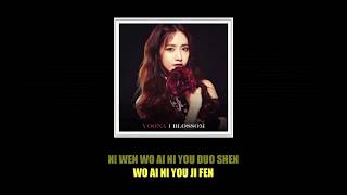 YOONA (임윤아 / 林允儿) - YUE LIANG DAI BIAO WO DE XIN (月亮代表我的心) THE MOON REPRESENTS MY HEART (ROMANIZED)