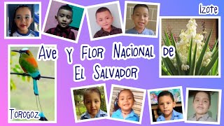 FLOR Y AVE NACIONAL DE EL SALVADOR ?? Izote y Torogoz