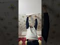 #Ceiling Renovation #Home Decoration #New House Renovation Self-adhesive Wallpaper sheet #shortvideo