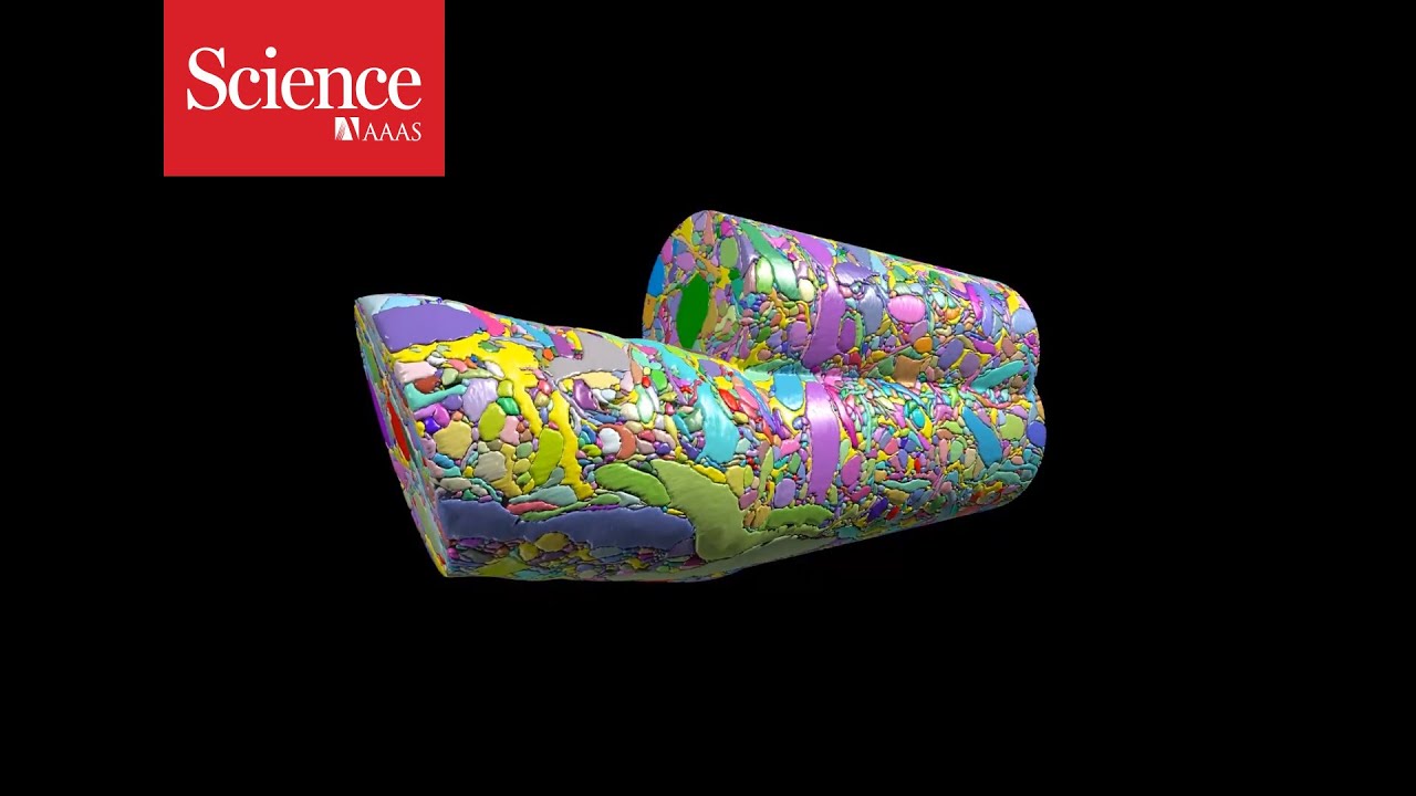 Incredible detailed video of a mouse brain - YouTube