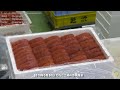 たらこ 虎杖浜 通販 生産量全国屈指を誇る工場