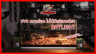 หลอดความร้อน Daylight เลี้ยงสัตว์ แสงสวยนะ แทน UVA ได้เลย ป้องกันหวัดให้ความอบอุ่น ช่วยย่อย