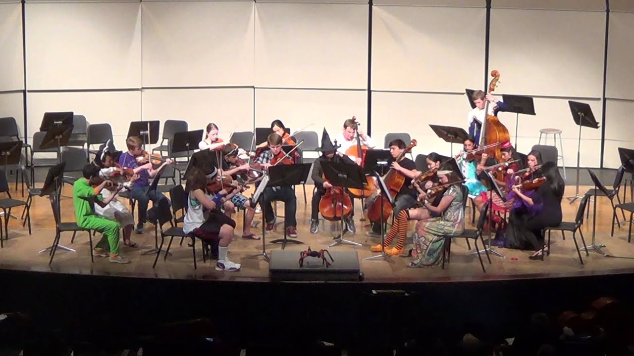 BVNW Chamber Orchestra Palladio Karl Jenkins YouTube