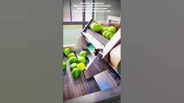 Automatic Lemon Juice Production Line