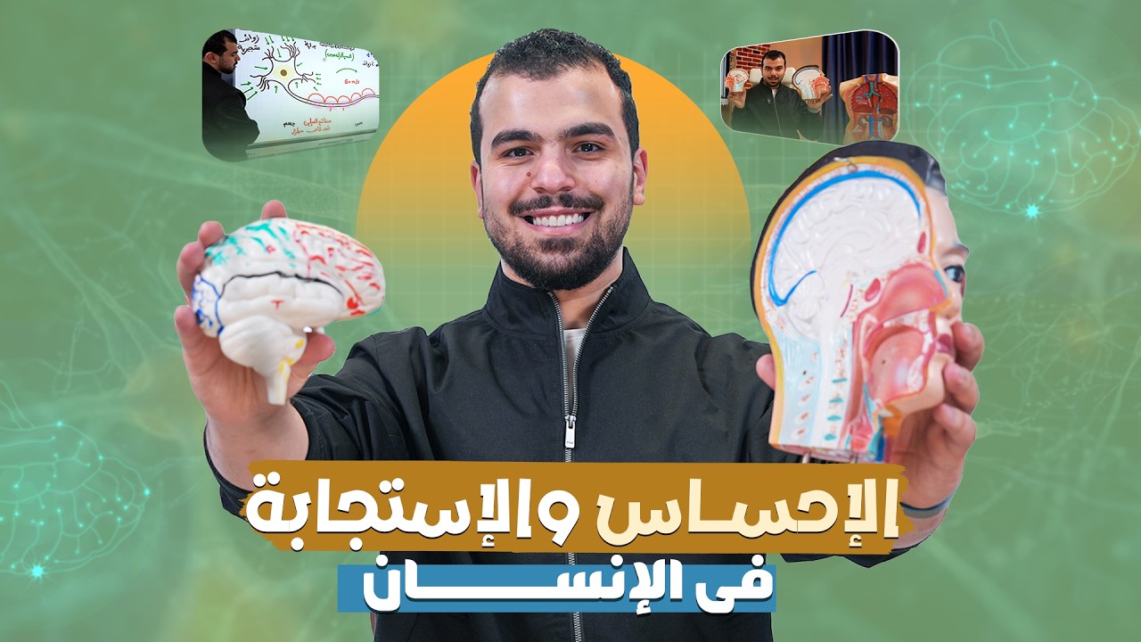 الإحساس والإستجابة في الإنسان 🧠- المحاضرة 6 علوم متكاملة - أولى ثانوى 🫶🏿