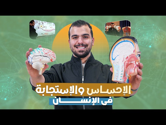 الإحساس والإستجابة في الإنسان 🧠- المحاضرة 6 علوم متكاملة - أولى ثانوى 🫶🏿