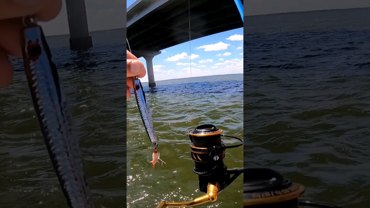 My SMALLEST One Ever! 