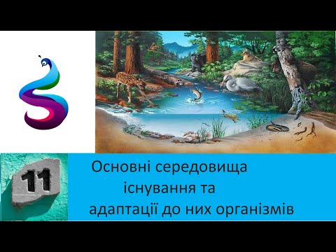 Основні середовища існування та адаптації до них організмів