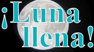 Luna llena observada con telescopio. / Full moon observed with telescope.