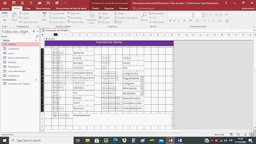 Curso de Programacion de Sistema de Inventarios Video 5