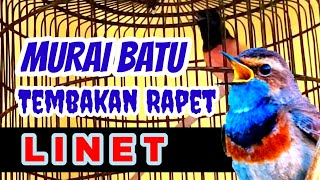 Tembakan Linet Bikin Lawan Bingung