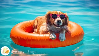 Psychological stability music & calming waves for dogs who are alone 🐶🌊 Be sure to play it when y... by Sleepy Dogs 6,596 views 2 months ago 12 hours