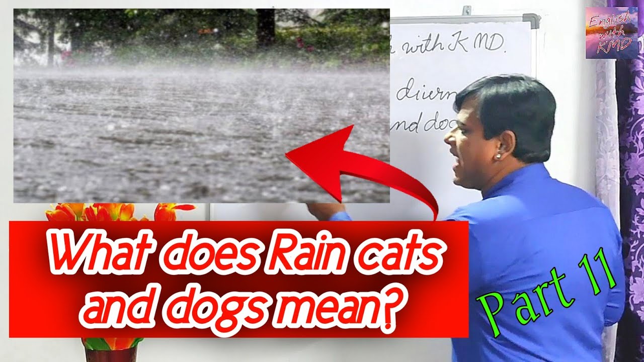 What does Rain cats and dogs mean? Learn English with KMD Raining