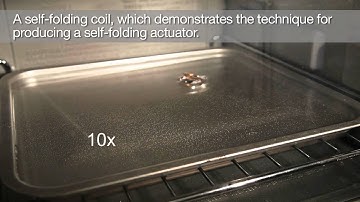 Bake your own robot