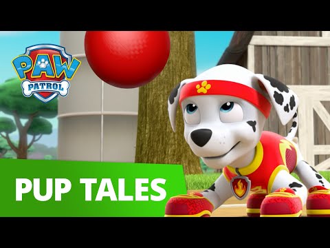 PAW Patrol | All Star Pups! | Rescue Episode | PAW Patrol Official & Friends!