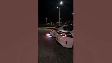 دمرها لروحي المسكينه 