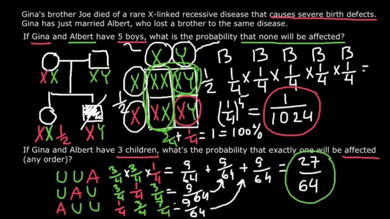 probability-genetics-part-2-laws-of-probability-addition-multiplication-youtube