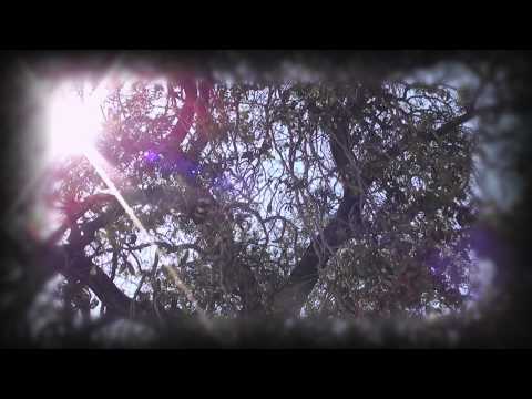 IASONAS CHRISTENING TEASER