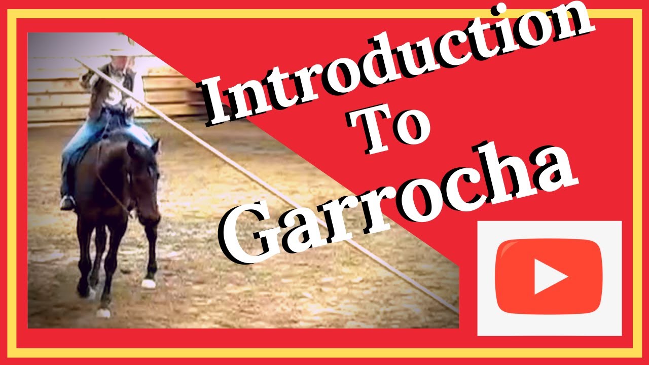 Garrocha Pole Skills For You And Your Horse~Have Fun, Build Confidence~Art Of The Horseman~