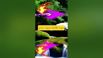قراءة سورة الفاتحة﴿السبع المثانى﴾ من القرآن الكريم بصوت ساحر 🕋
