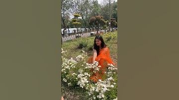 Nauni University Solan H.P.