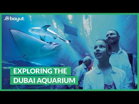 Dubai Aquarium & Underwater Zoo – The Dubai Mall