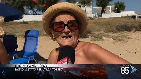 Cosa fare in caso di alga tossica?
