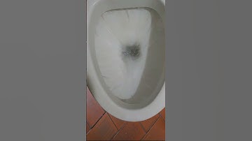 Siphonic vs Washdown