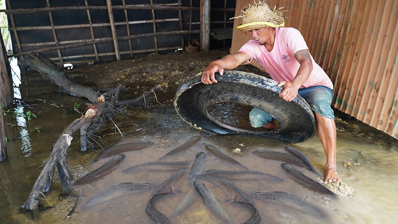 WOW! Unbelievable This Fishing Catch Catfish Coper Fish Under Crap