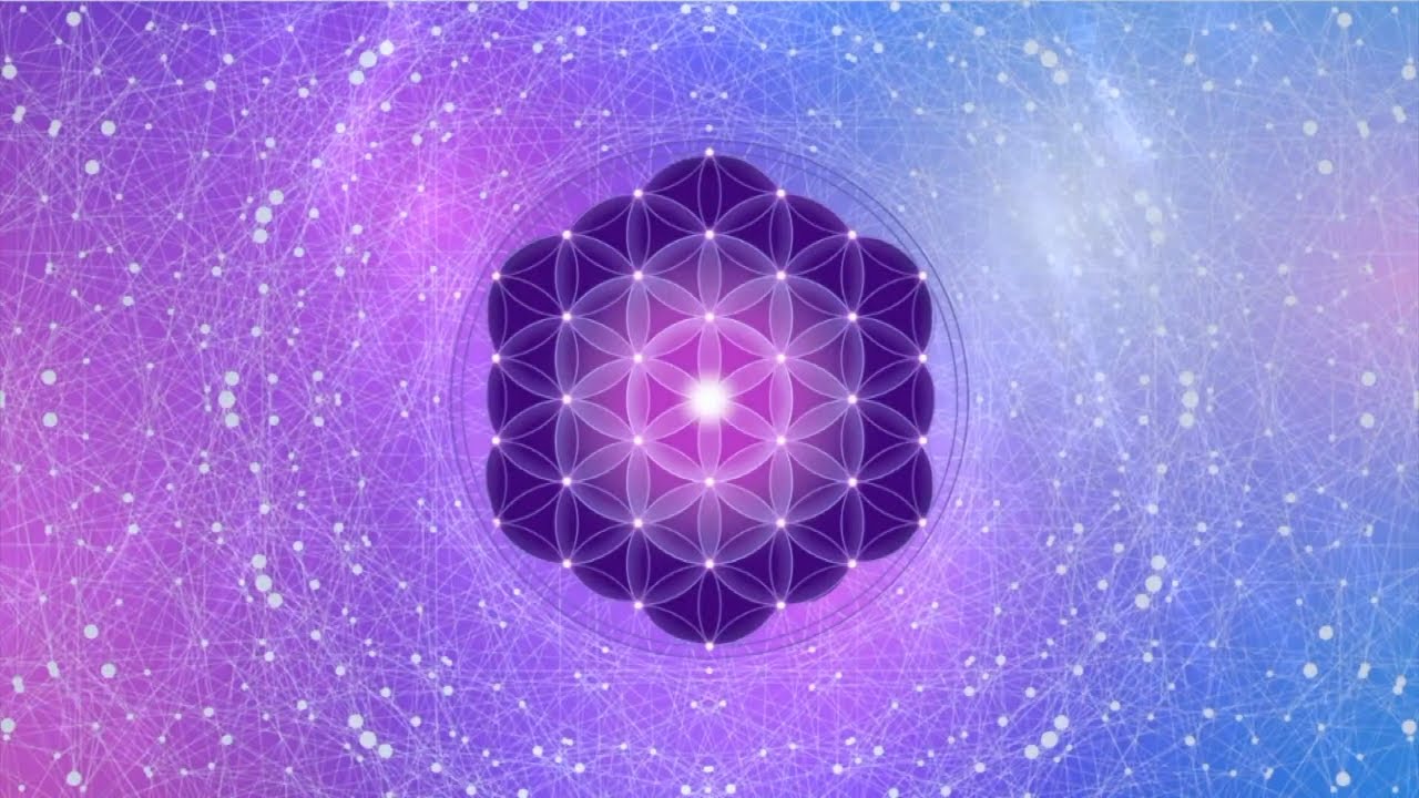 Hormone Balance Support | Cleanse and Align Your Endocrine System I BIORESONANCE