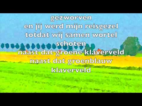 Klaverveld / Fields Of Gold  with lyrics