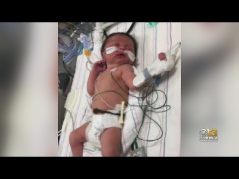 Mother Of Newborn Baby Found In Silver Spring Woods Identified
