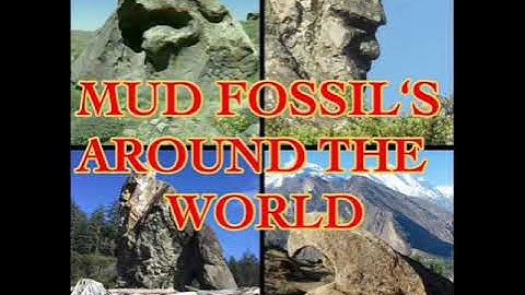 MUD FOSSIL‘s around the World