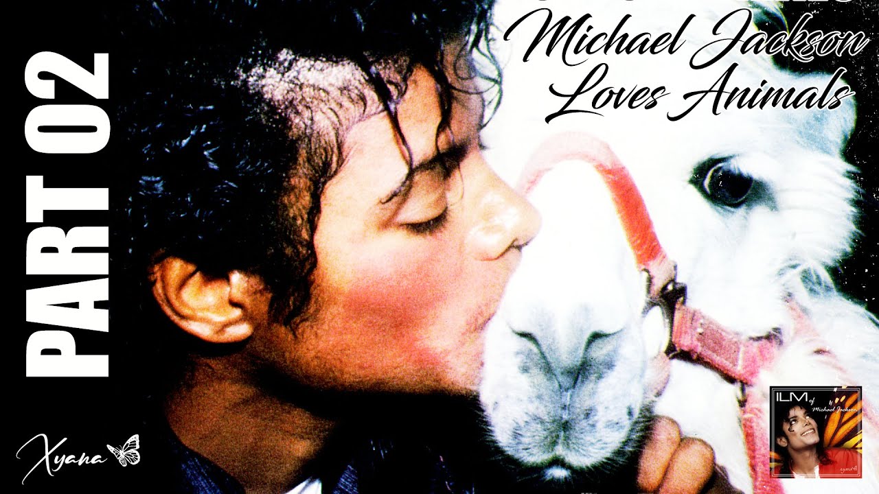 Michael Jackson ♥ღ His Huge Love For Animals | PART 02 | Sottotitoli  italiano ~ #xyanaღILMOMJ - YouTube