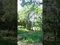 Кисловодский парк.#кисловодск#subscribe#russia#красотаприроды#сосны#подпишись#naturalbeauty#отдых