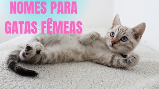 NOMES PARA GATAS FÊMEAS [ 30 NOMES]