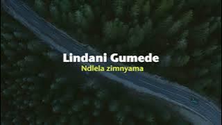 Lindani Gumede - Ndlela zimnyama