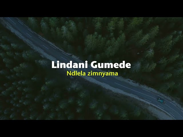 Lindani Gumede - Ndlela zimnyama (Official Lyric Video) class=