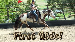 First Ride! Day 4 with a wild mustang | Mustang Magic 2024