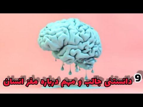 دانستنی : 9دانستنی جالب و مهم درباره مغز انسان