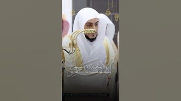 قبس من تراويح ليلة ١٠ رمضان ١٤٤٦هـ | تلاوة فضيلة الشيخ د.الوليد بن خالد الشمسان