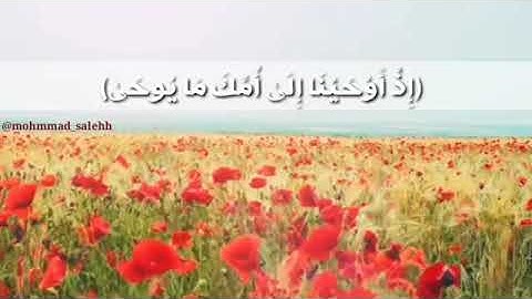 تلاوة هادئة ما تيسر من سورة طه للقارئ اليمني محمد صالح