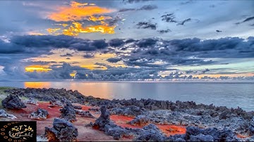 تلاوة هادئة | سورة الانسان ~ للقاري عمر هشام العربي