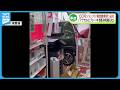 【事故】「アクセルとブレーキを踏み間違えた」70代女性運転の車が100円ショップの店舗に突っ込む《新潟》
