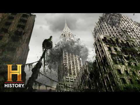 The Slow Decay of a Human Free Earth *Marathon* | Life After People