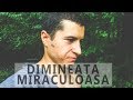 MA DOR TOATE | DIMINEATA MIRACULOASA | VLOG