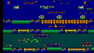 Frogger [Prototype] (Sega Master System) Playthrough Rounds 17-20