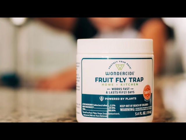 Wondercide Fruit Fly Trap Review 